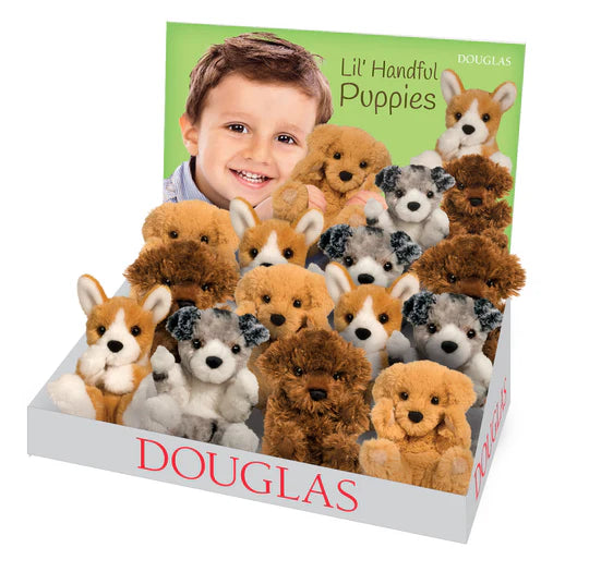 Lil' Pups 12 Pcs Assortment