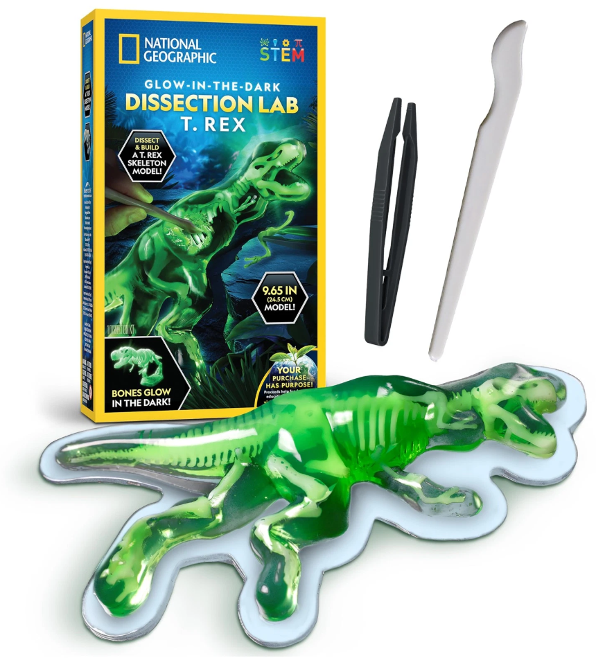 Glow-in-The-Dark T. Rex Dissection Kit