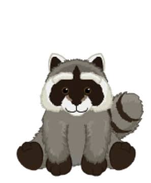 Raccoon Webkinz