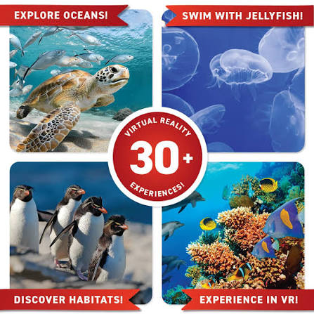 VR Oceans DK Gift Box