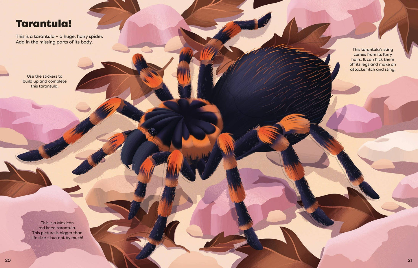 Big Sticker Book Bugs: Usborne