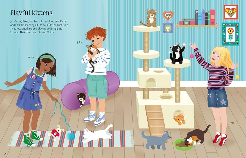 Sticker Dolly Dressing Pets : Usborne