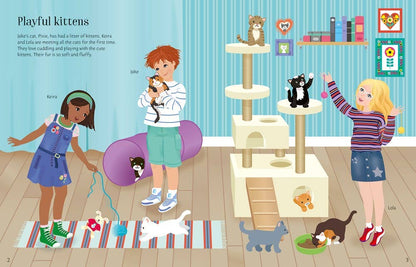 Sticker Dolly Dressing Pets : Usborne