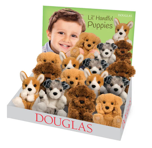 Lil' Pups 12 Pcs Assortment