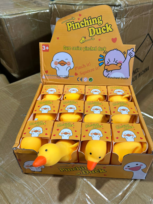 Silly Squishy Goose - Geese - Duck | A096