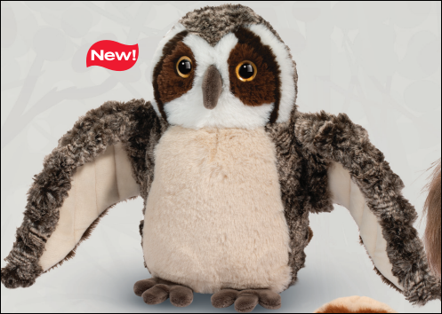 Echo Owl