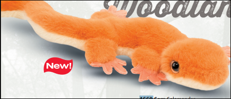 Sam Salamander