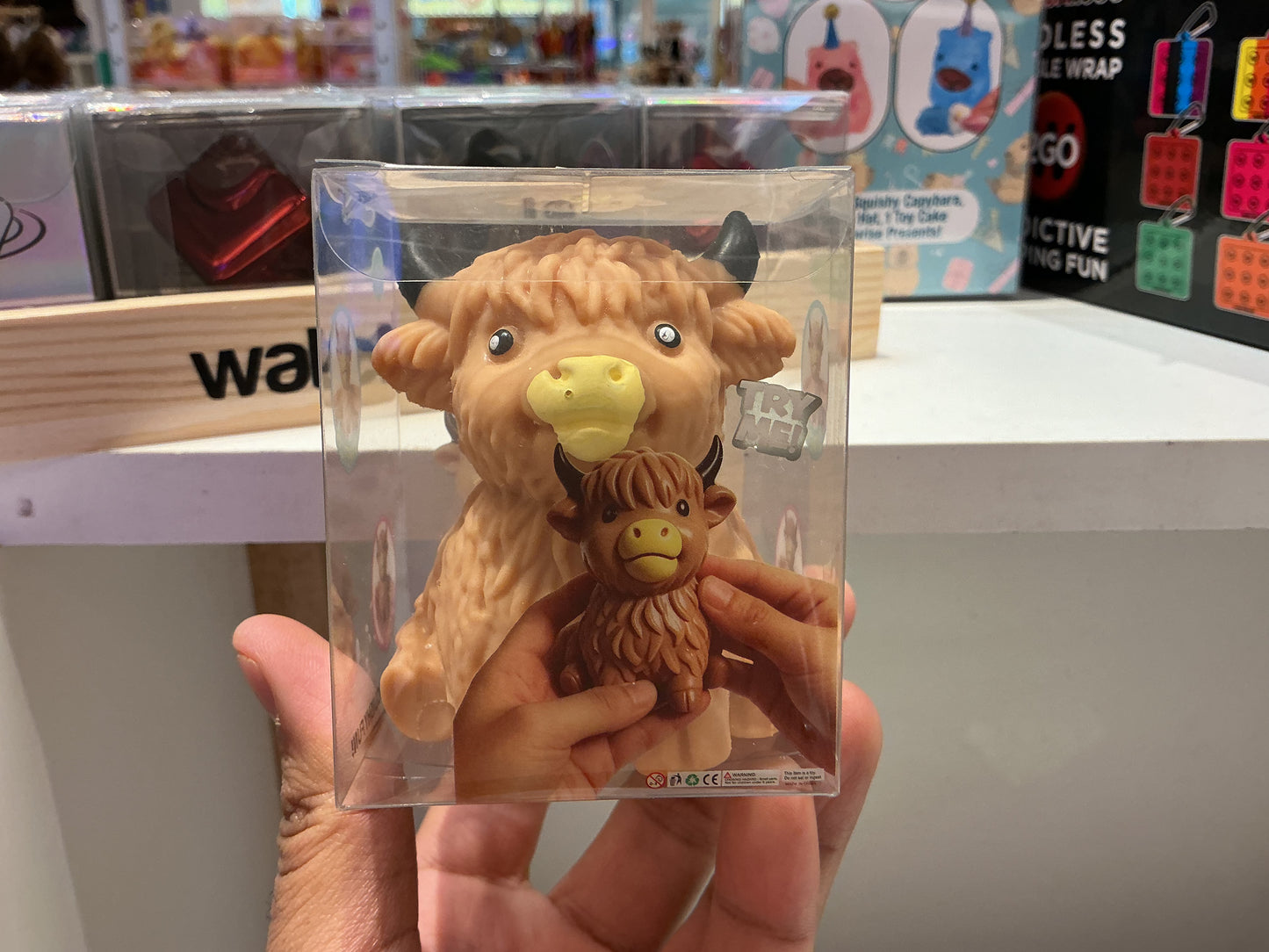 Crunchy Highland cow