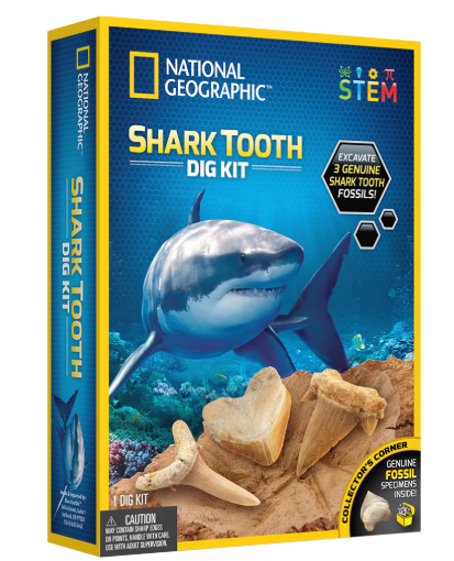 Shark Tooth Dig Kit