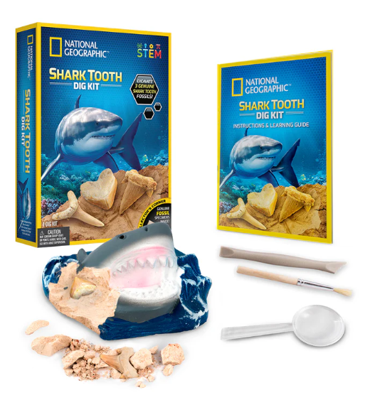 Shark Tooth Dig Kit
