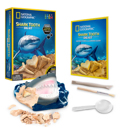 Shark Tooth Dig Kit