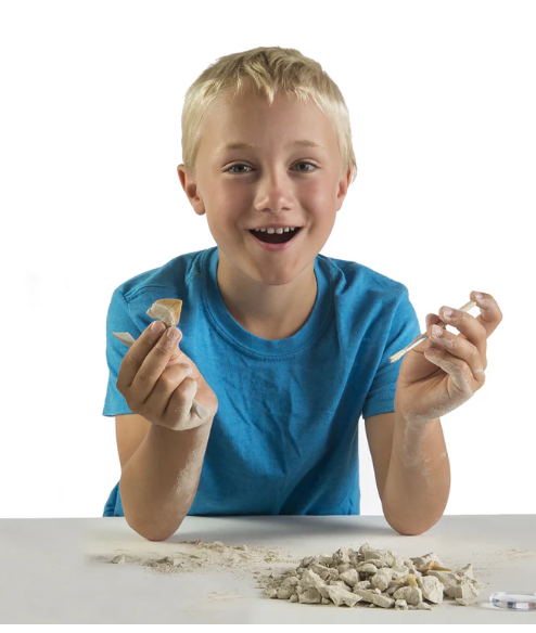 Shark Tooth Dig Kit