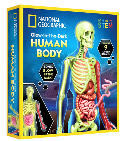 Glow-in-the-Dark Human Body