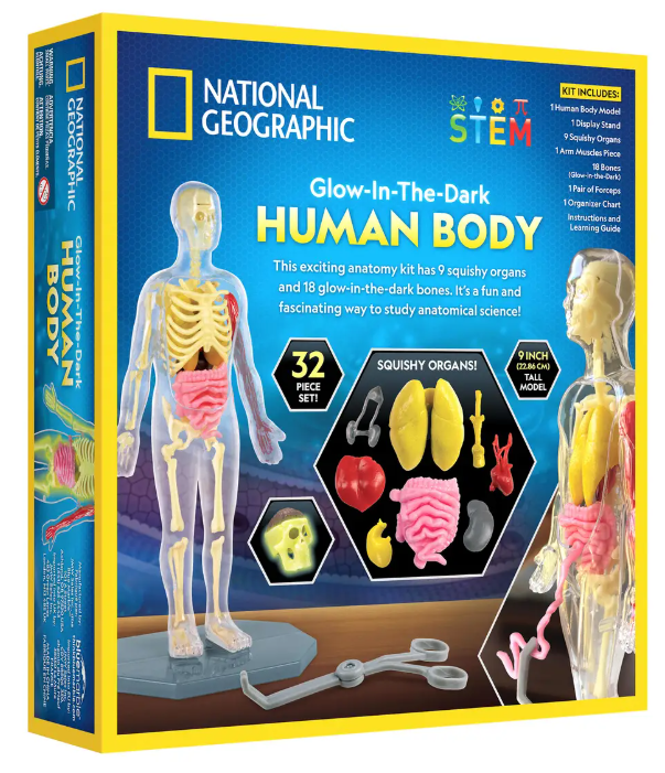 Glow-in-the-Dark Human Body