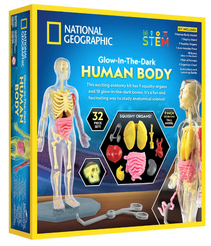 Glow-in-the-Dark Human Body