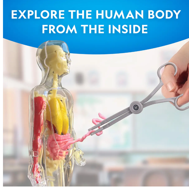 Glow-in-the-Dark Human Body