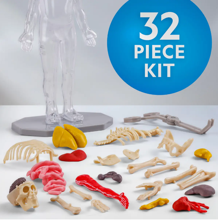 Glow-in-the-Dark Human Body