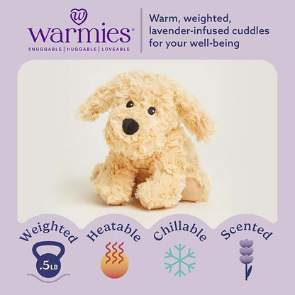 Golden Dog Warmie Junior