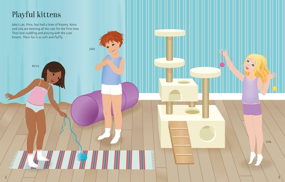 Sticker Dolly Dressing Pets : Usborne