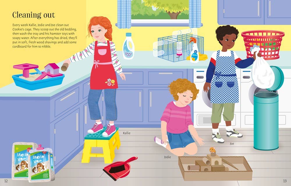 Sticker Dolly Dressing Pets : Usborne