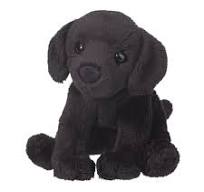 Lucy Black Lab