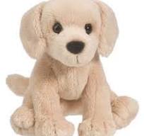 Butter Yellow Lab