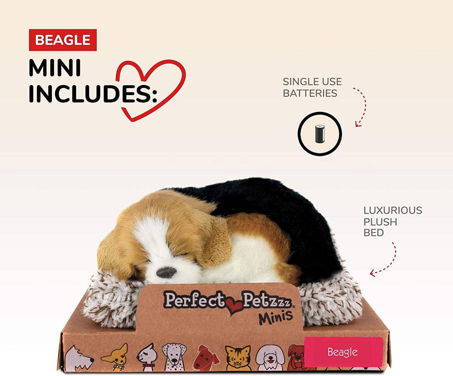 Mini Beagle