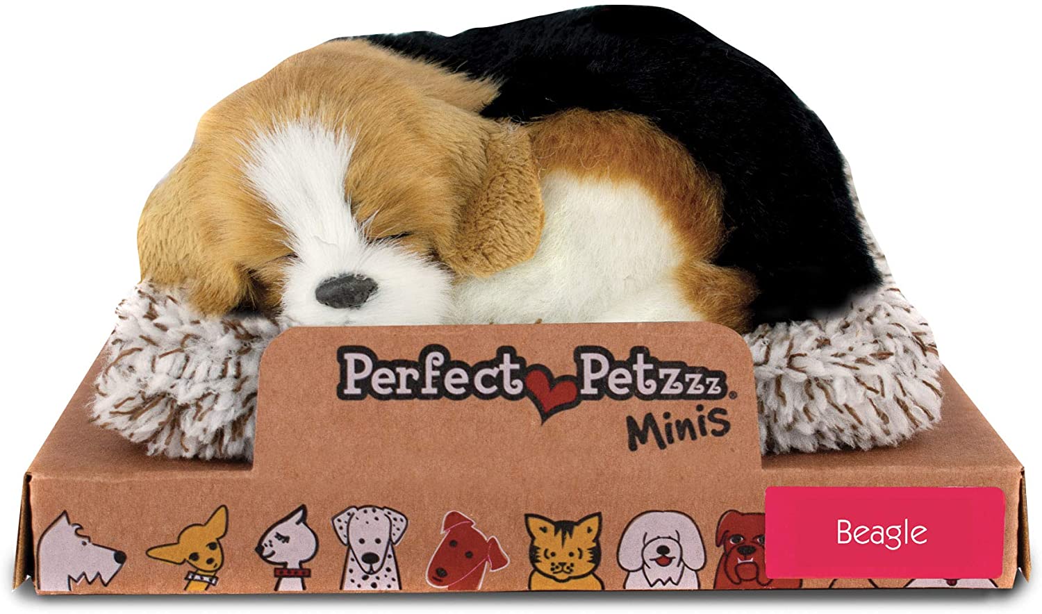 Mini Beagle