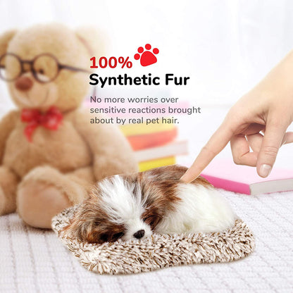 Mini Shih Tzu