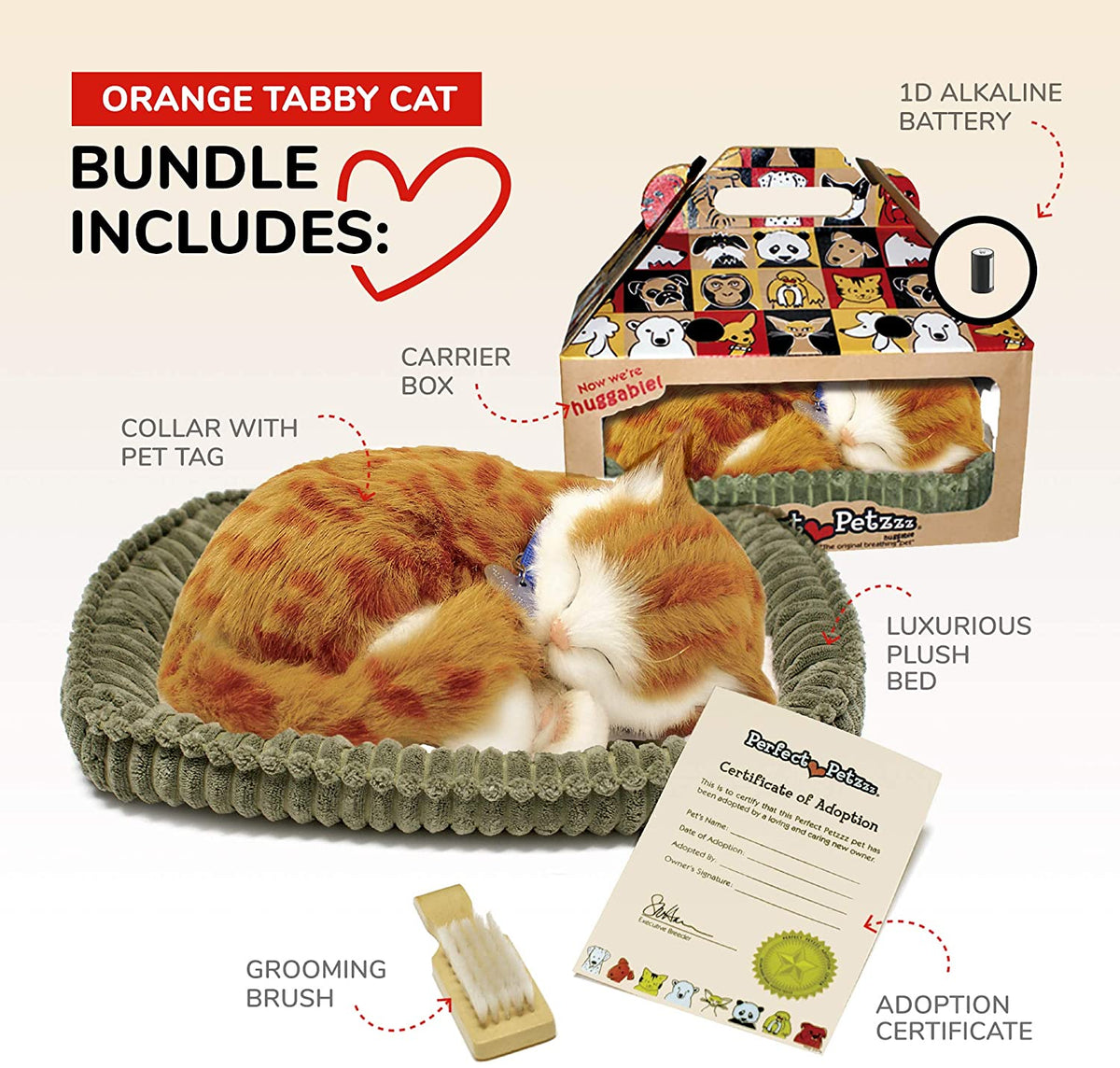 Orange Tabby