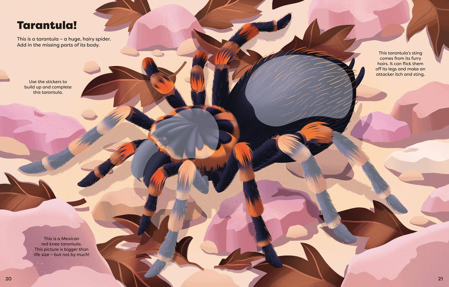 Big Sticker Book Bugs: Usborne