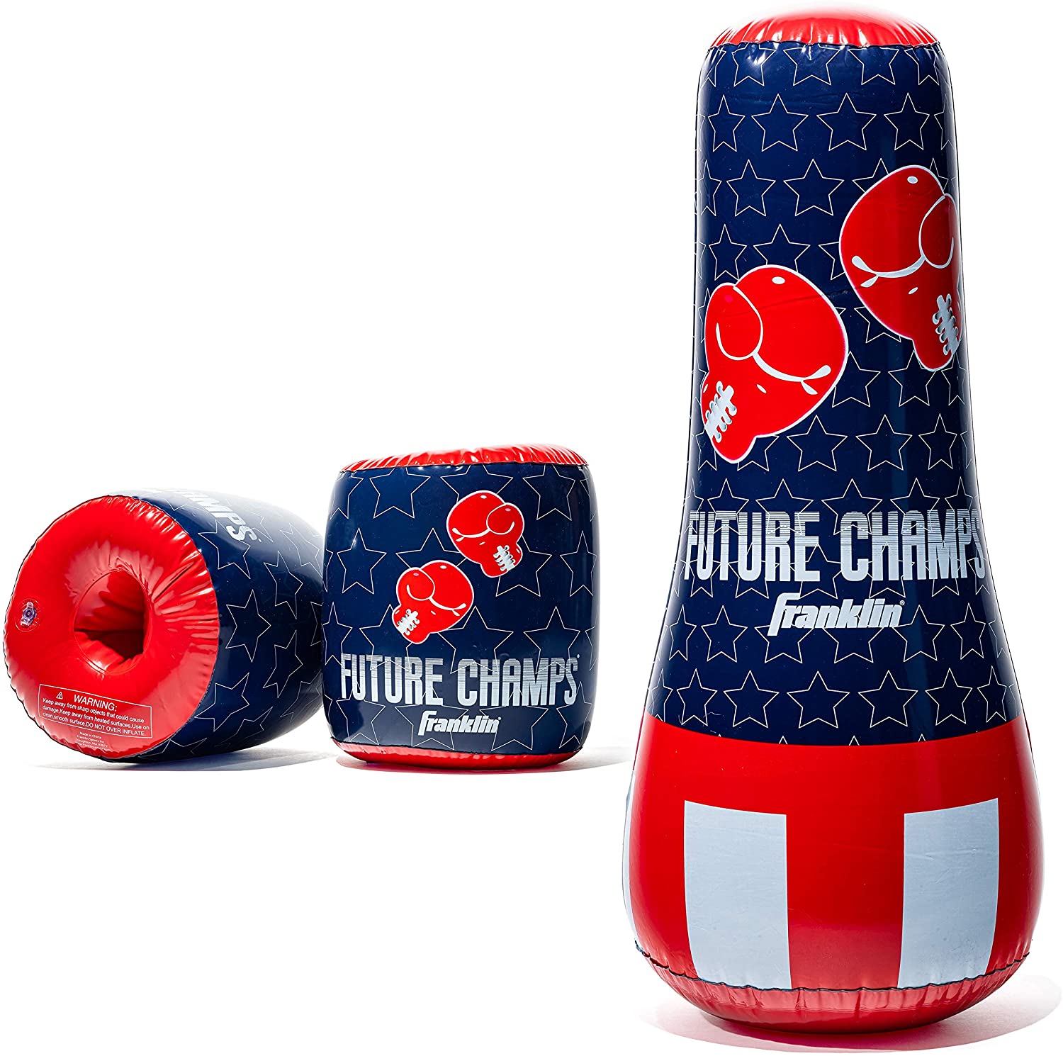 Punching Bag and Gloves