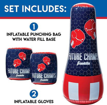Punching Bag and Gloves