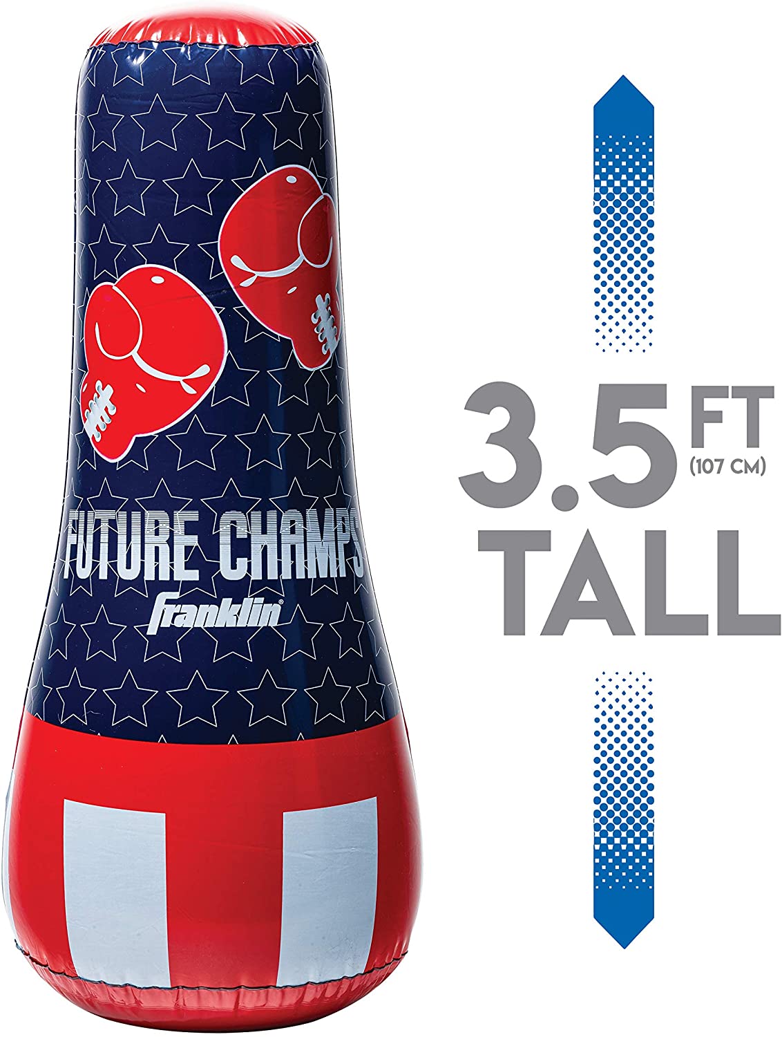 Punching Bag and Gloves