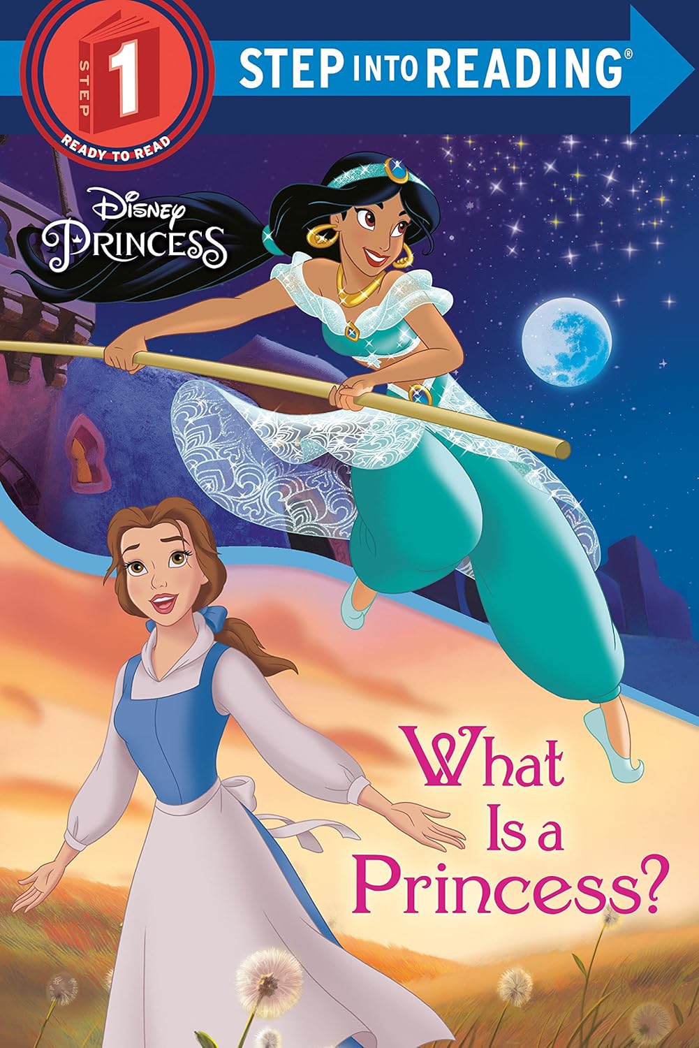 What Is a Princess Sir 1