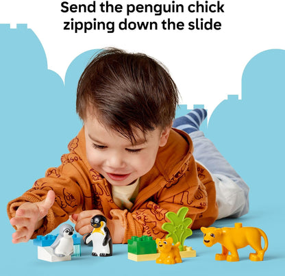 Penguins and Lions