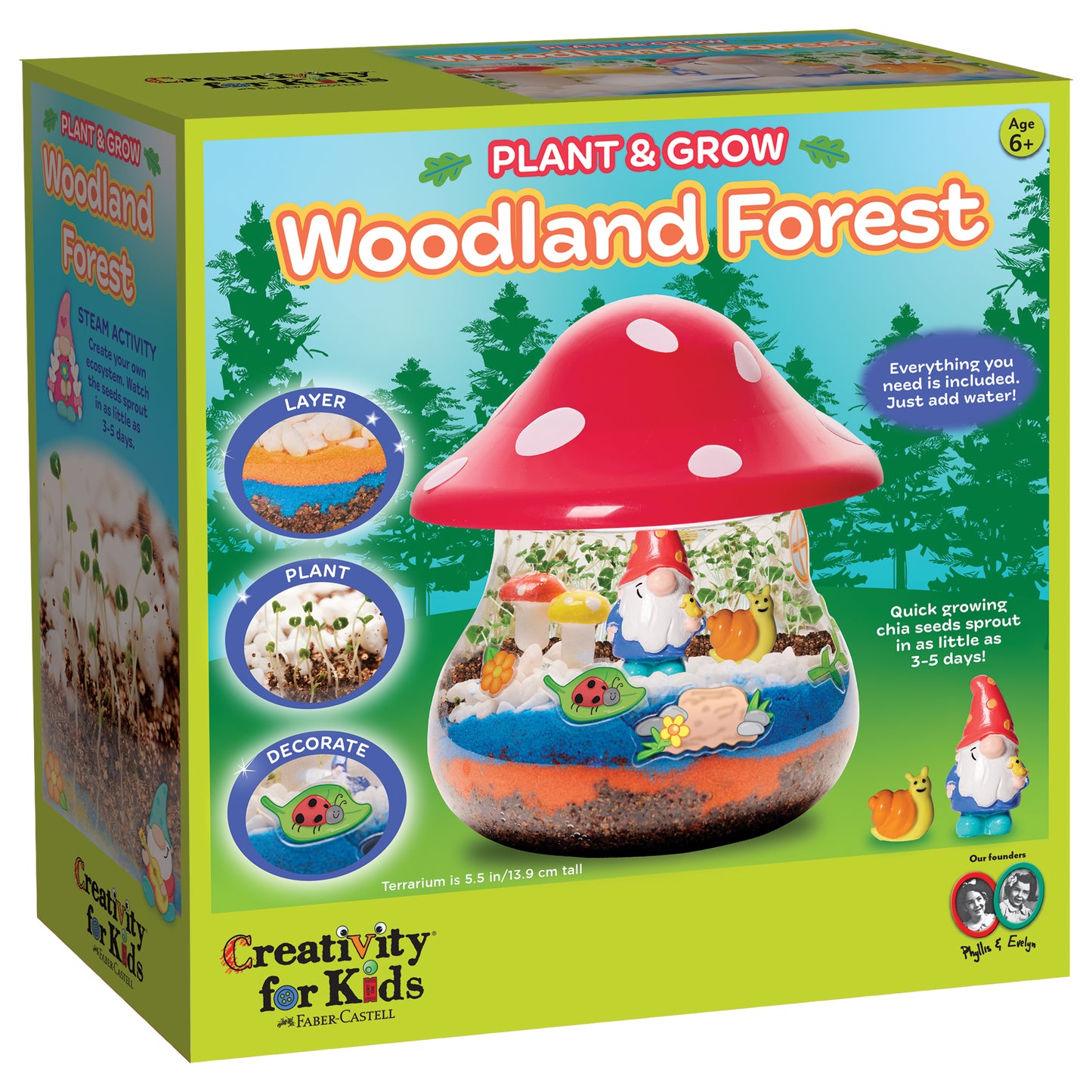 Plant Woodland Forest