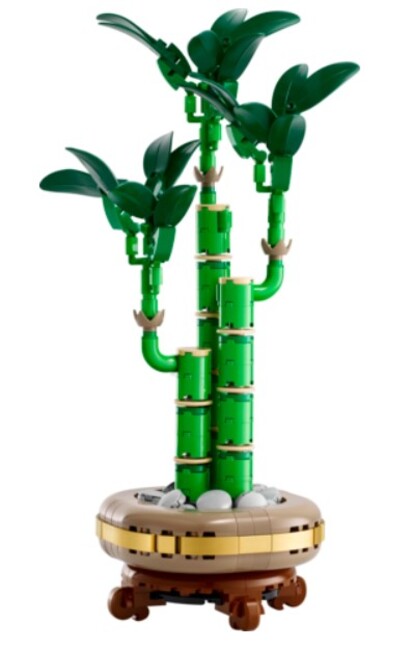 Botanicals 10344
