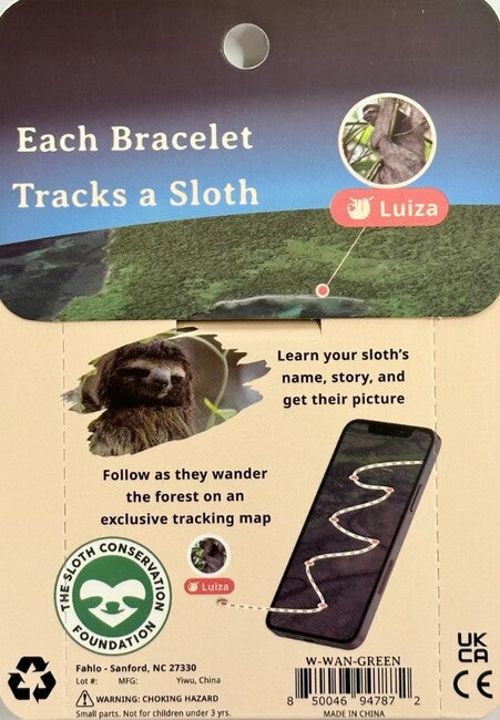 Sloth Rainforest Green